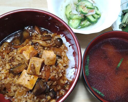 230407 食事会 マーボー丼